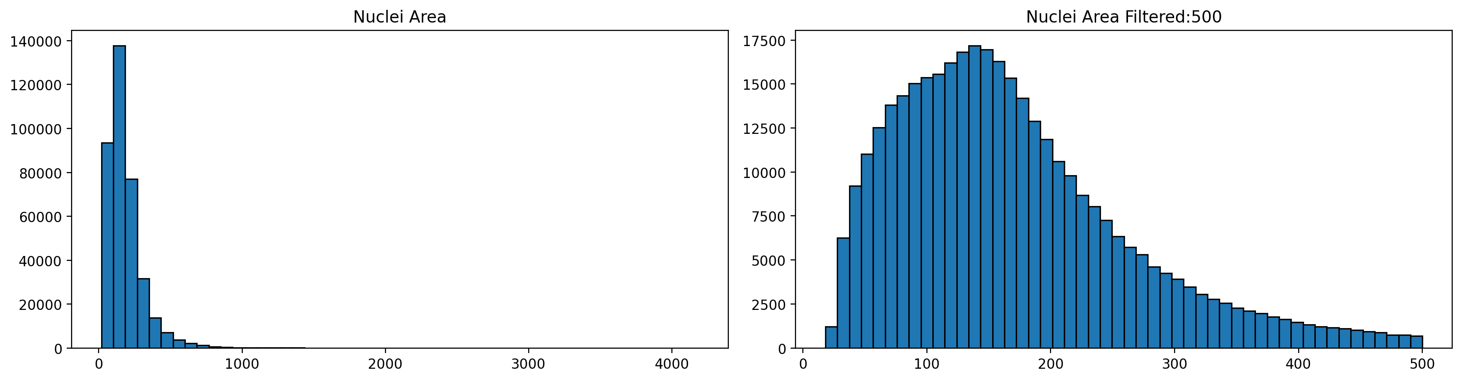 Size analysis