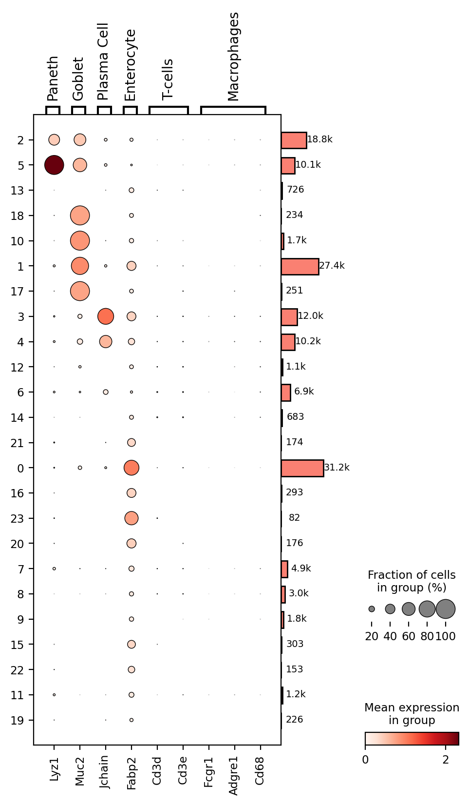 cell type marker dot plot