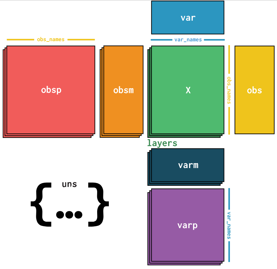 annData object structure