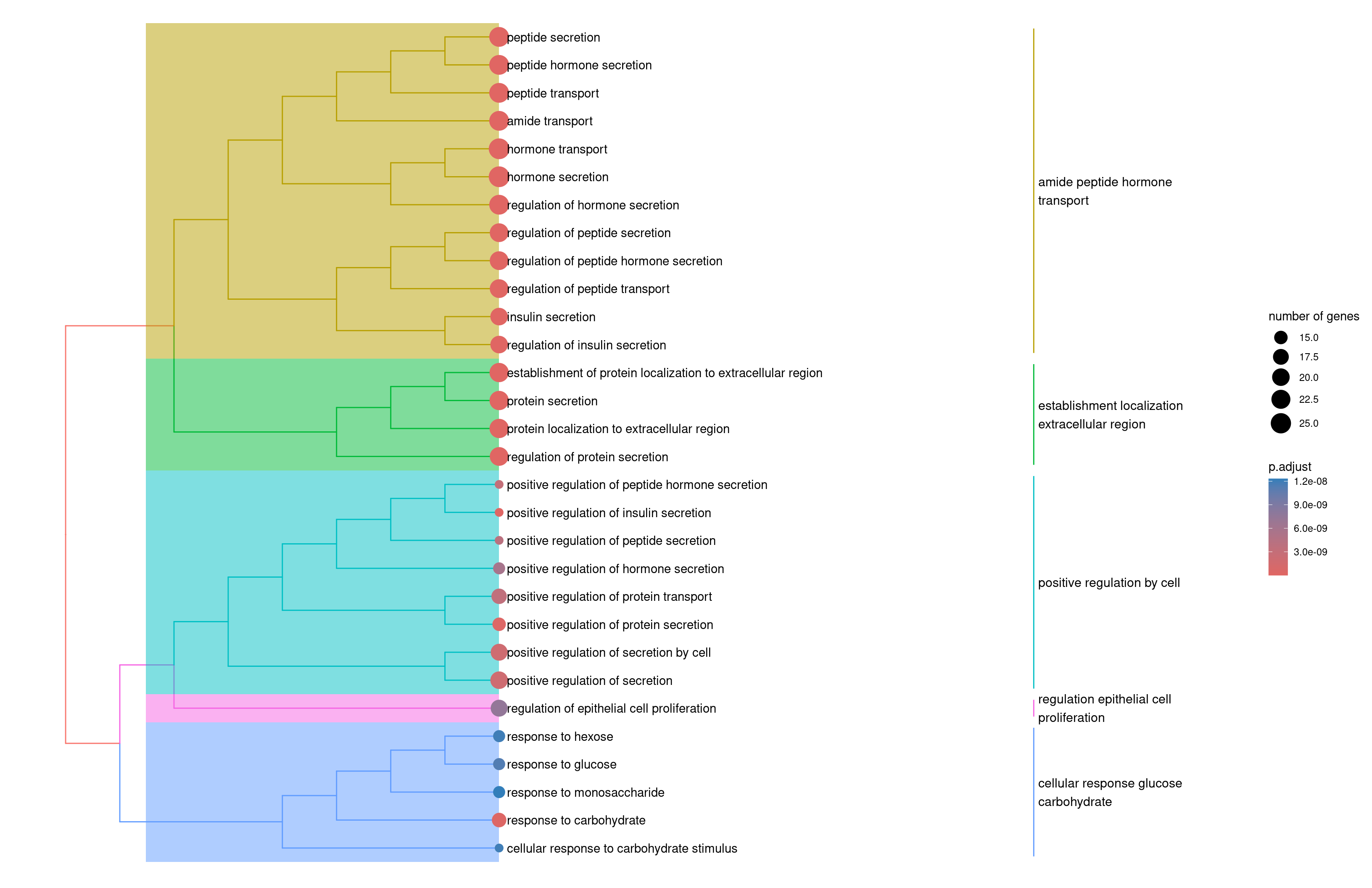 Pseudotime Trajectory vs RNA Velocity | Love, DNA & Code