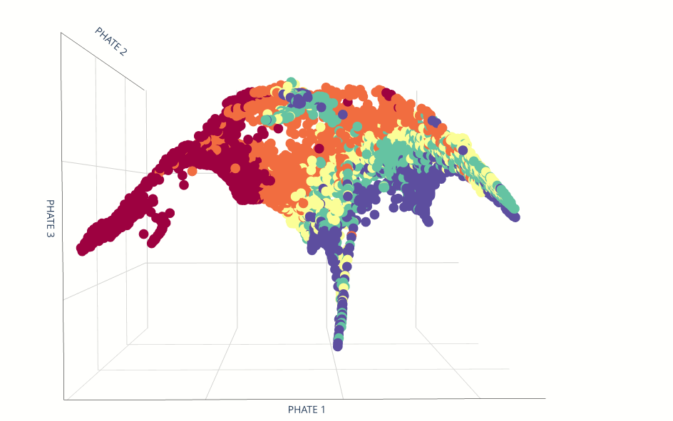 Single Cell Dimensional Reduction: Phate
