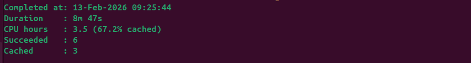 NextFlow run details