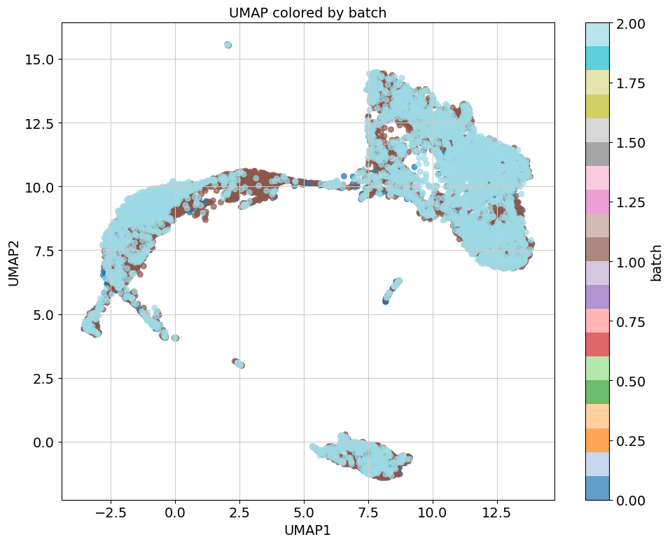 Batch corrected UMAP