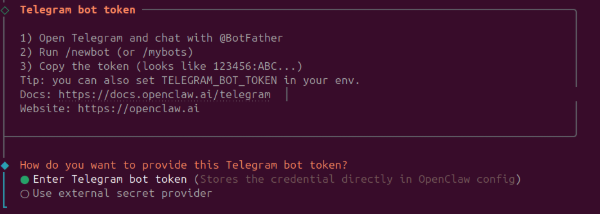 Telegram bot token instructions