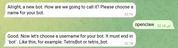 Naming the bot and choosing its username