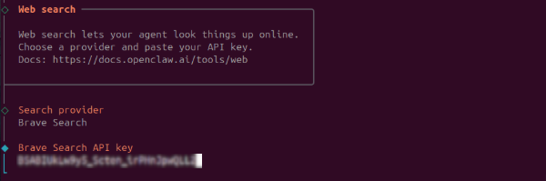 Entering the Brave Search API key in OpenClaw