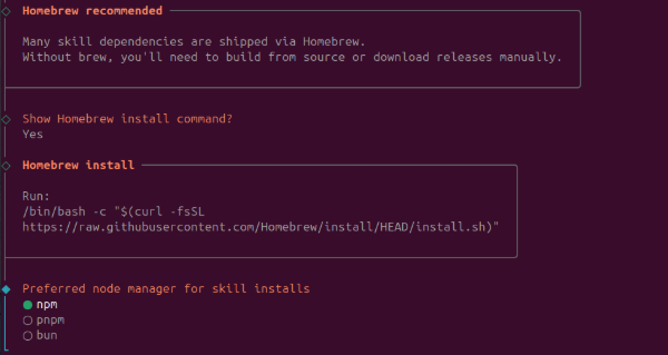 Homebrew recommended for skill dependencies, npm as package manager