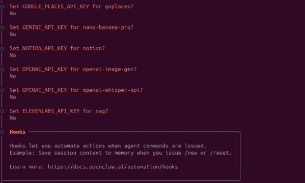 Skipping optional API keys, hooks explanation