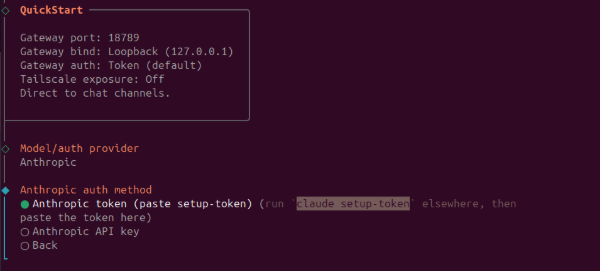 Selecting Anthropic token auth method