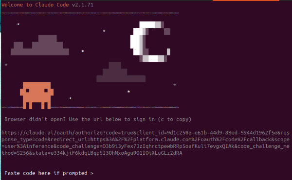 Claude Code prompting for browser authorization