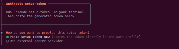 Choosing to paste the setup token directly